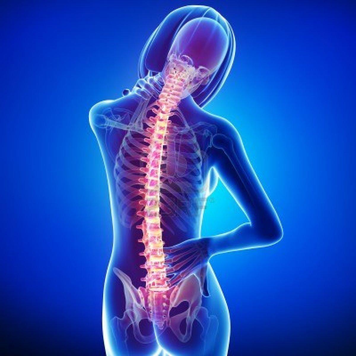 Back Injury workers compensation attorney