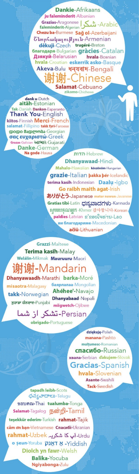 Thank you in different languages on an infographic